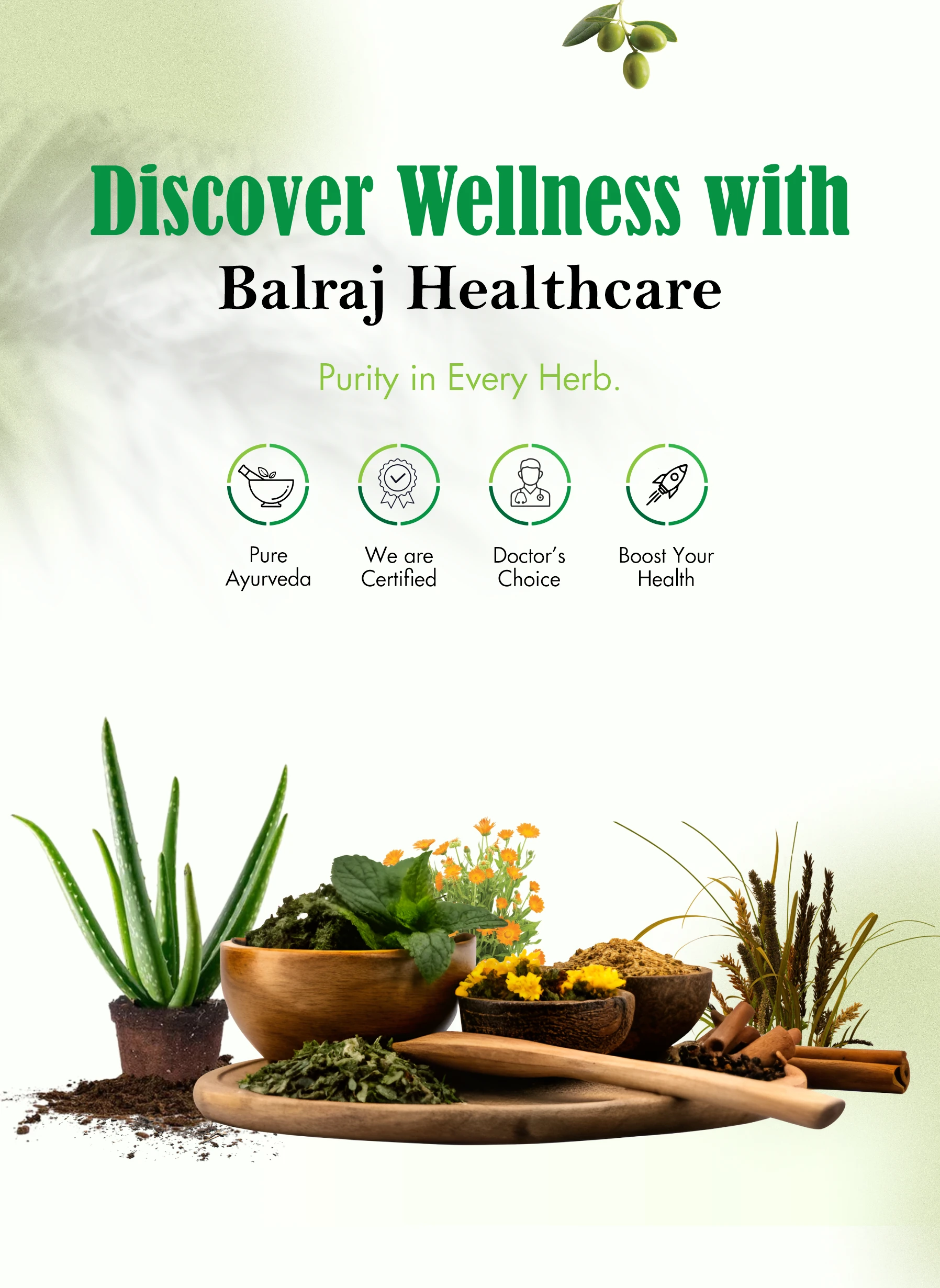 Balraj Healthcare - Mobile