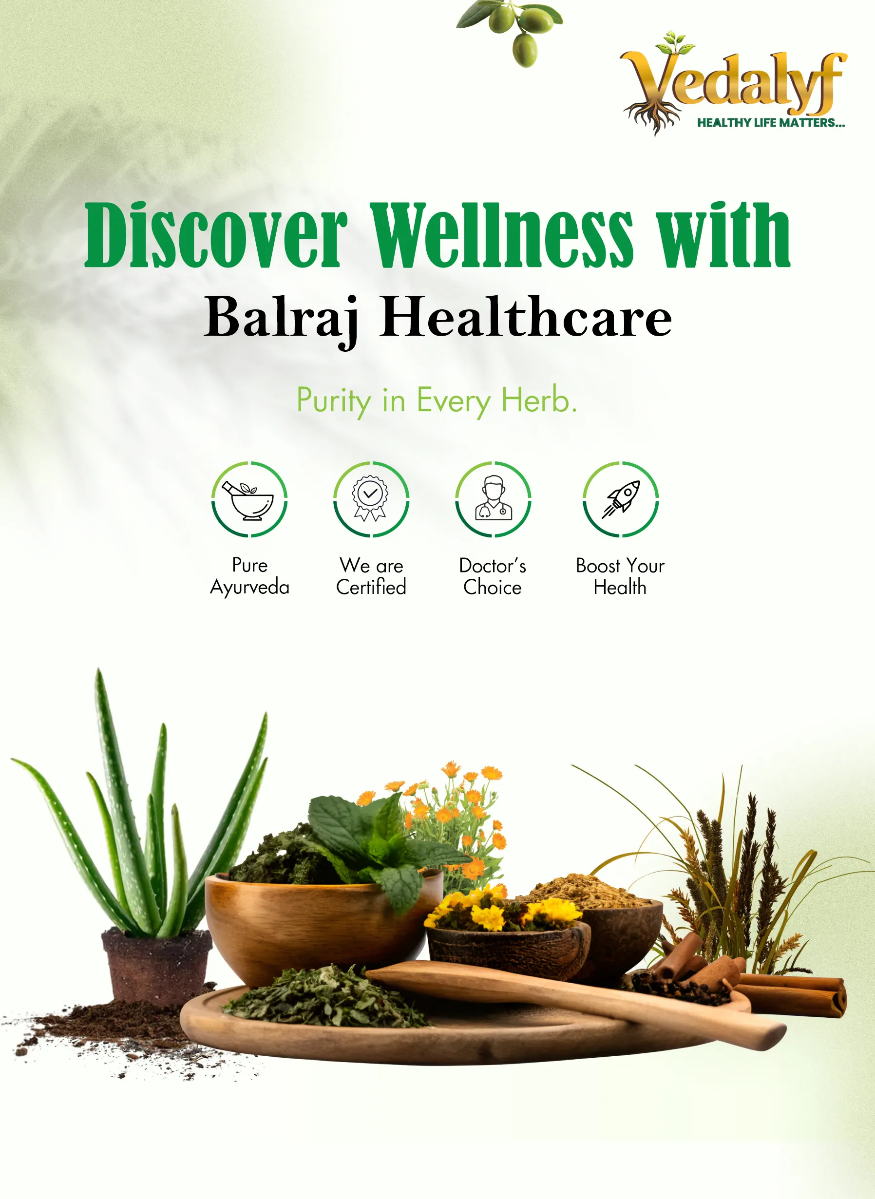 Balraj Healthcare 2